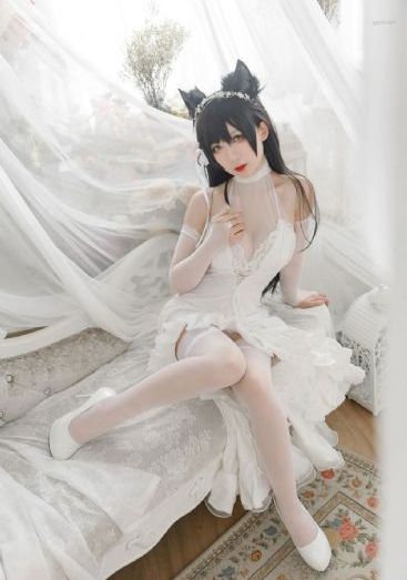 阳光普照电影